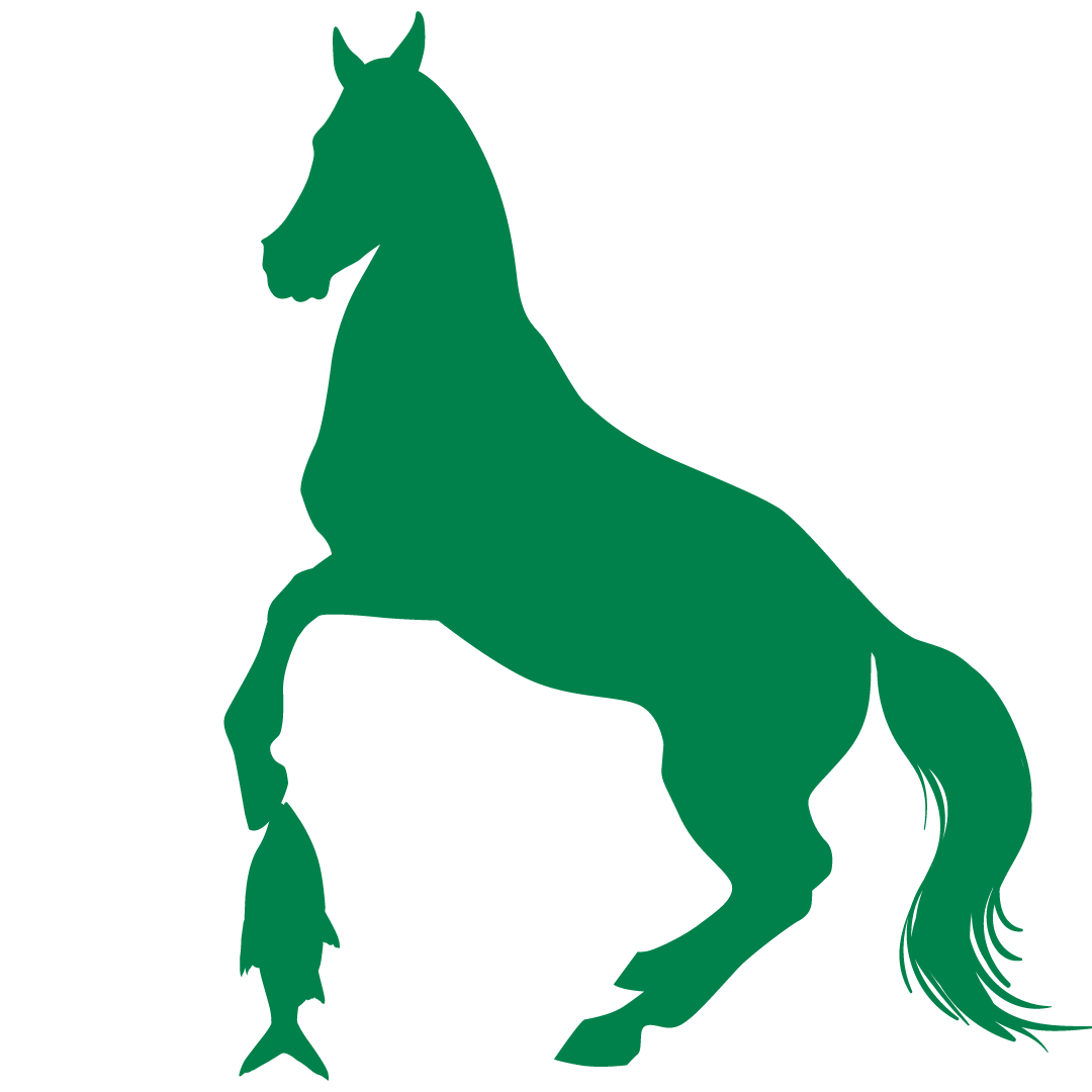 Ikoon VV Groep 1 2 Zeeveulen