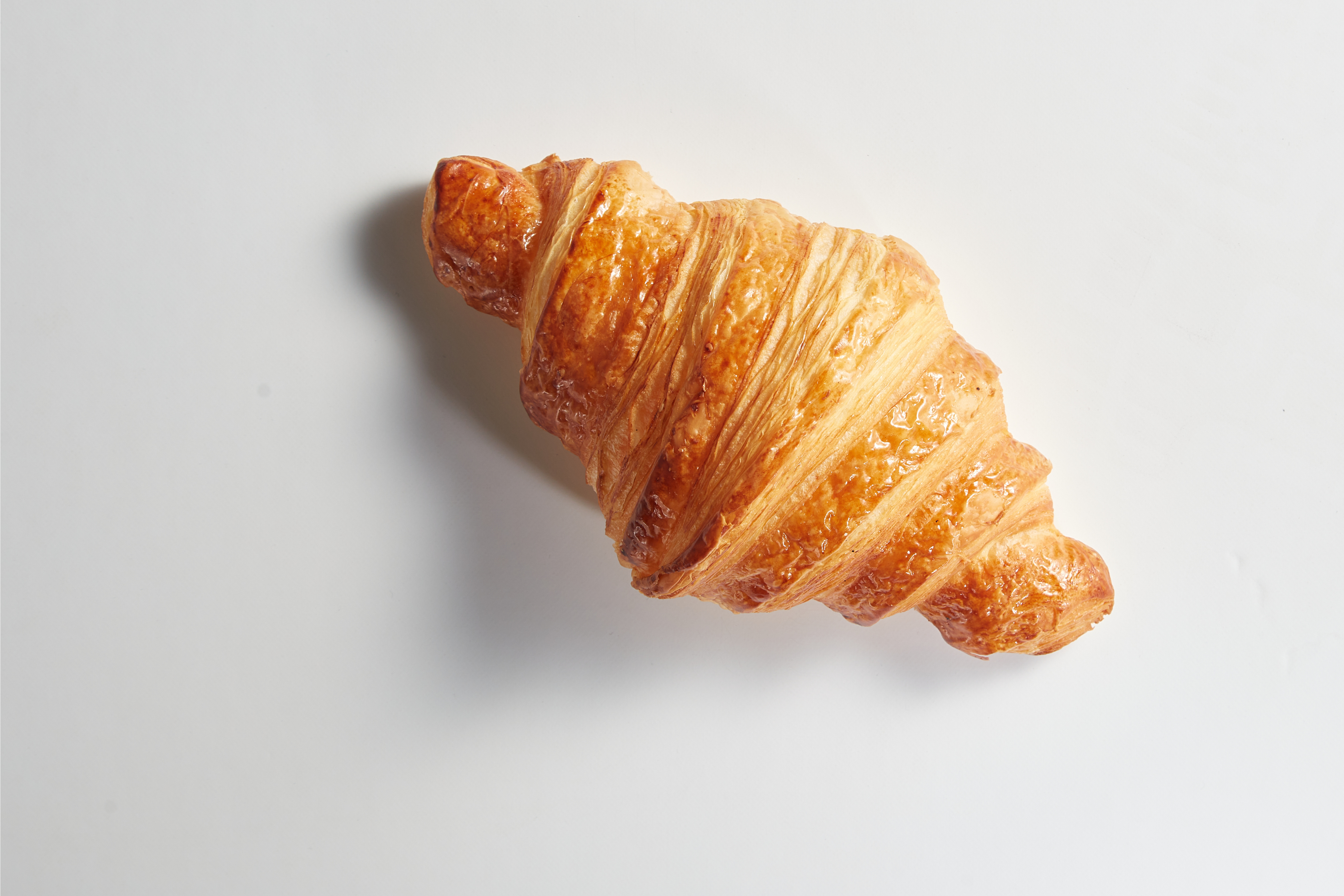 Header Website (1290 X 860 Px) (2) (1)
