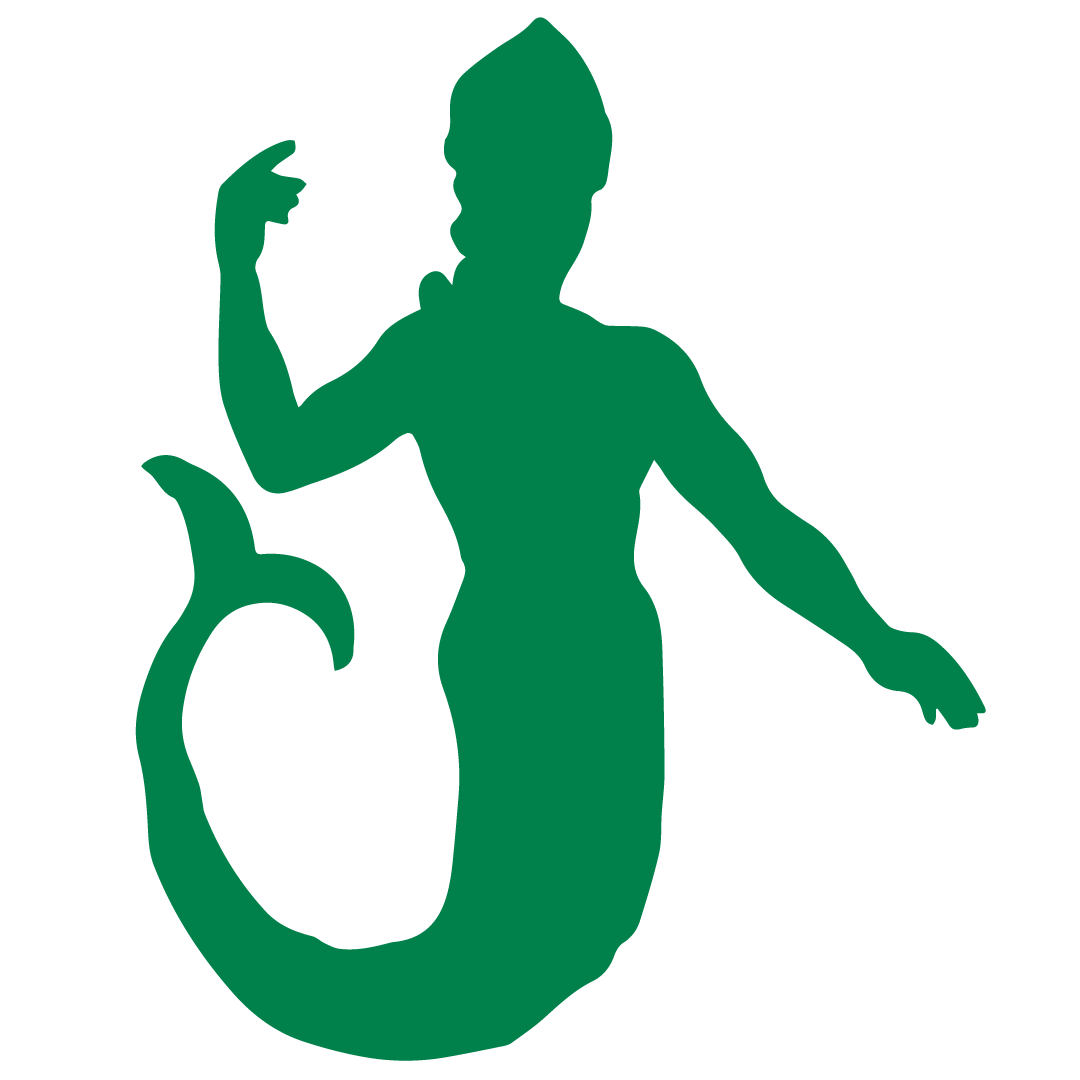 Ikoon VV Groep 1 2 Meermin